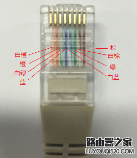 如何正确的查看网线线序？