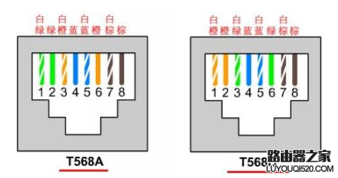 如何正确的查看网线线序？